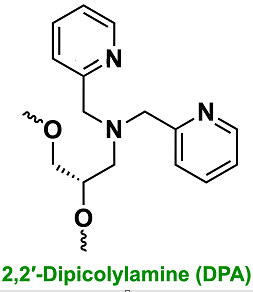 Bio-Synthesis Inc. Oligo Structure